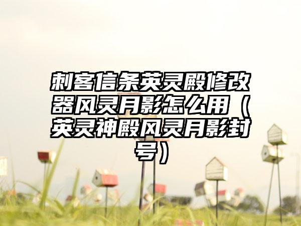 刺客信条英灵殿修改器风灵月影怎么用（英灵神殿风灵月影封号）
