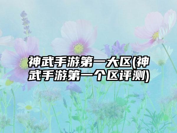 神武手游第一大区(神武手游第一个区评测)