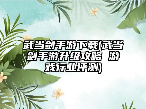 武当剑手游下载(武当剑手游升级攻略 游戏行业评测)