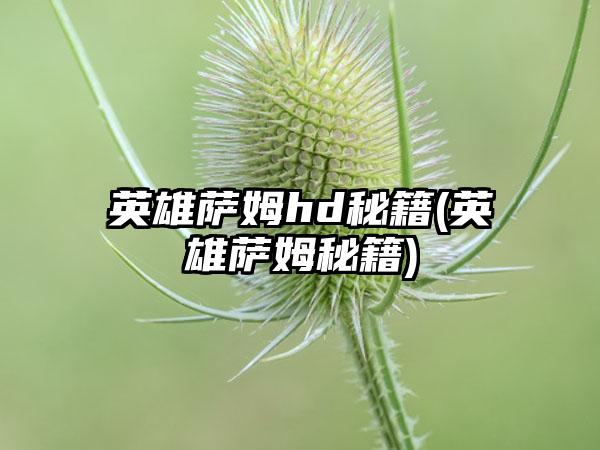 英雄萨姆hd秘籍(英雄萨姆秘籍)