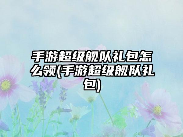 手游超级舰队礼包怎么领(手游超级舰队礼包)