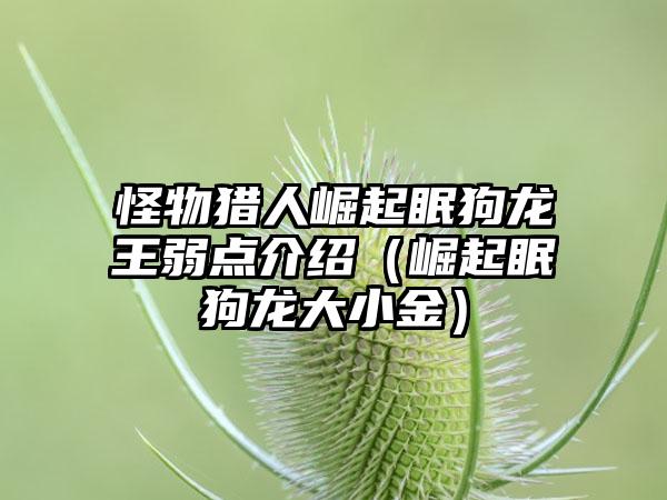 怪物猎人崛起眠狗龙王弱点介绍（崛起眠狗龙大小金）