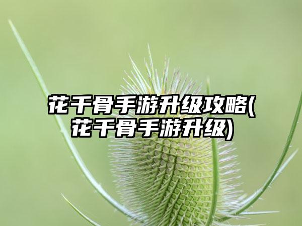 花千骨手游升级攻略(花千骨手游升级)
