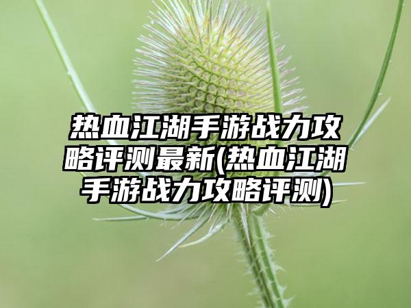 热血江湖手游战力攻略评测最新(热血江湖手游战力攻略评测)