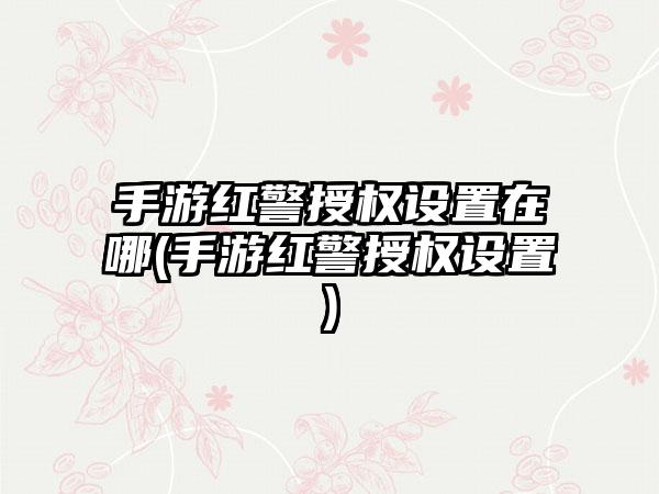 手游红警授权设置在哪(手游红警授权设置)