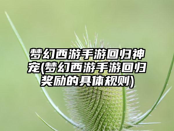 梦幻西游手游回归神宠(梦幻西游手游回归奖励的具体规则)