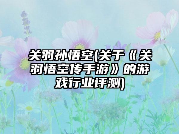 关羽孙悟空(关于《关羽悟空传手游》的游戏行业评测)