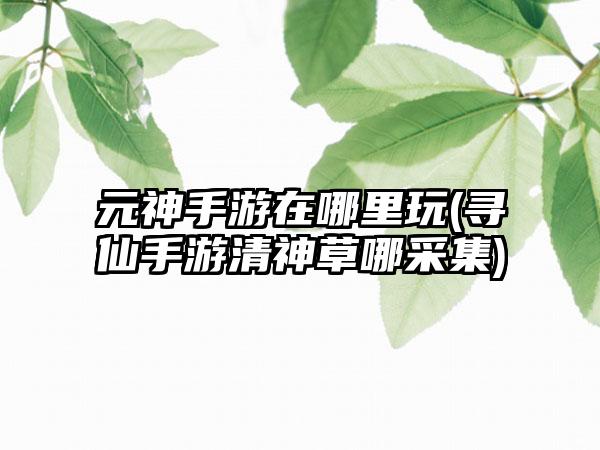 元神手游在哪里玩(寻仙手游清神草哪采集)