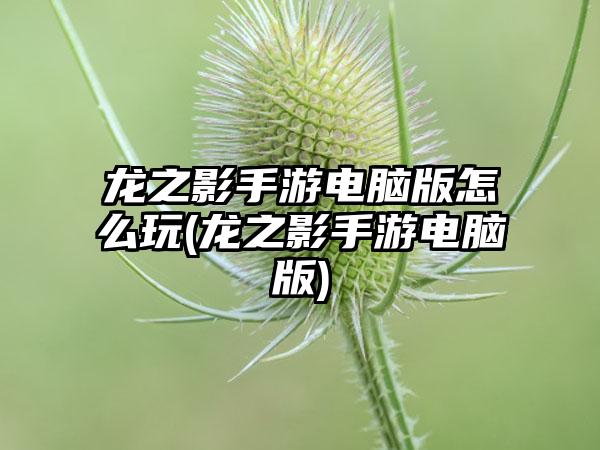 龙之影手游电脑版怎么玩(龙之影手游电脑版)