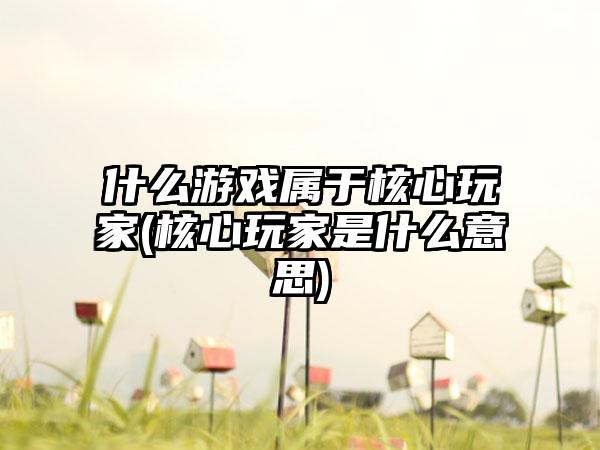 什么游戏属于核心玩家(核心玩家是什么意思)