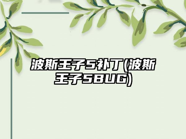 波斯王子5补丁(波斯王子5BUG)