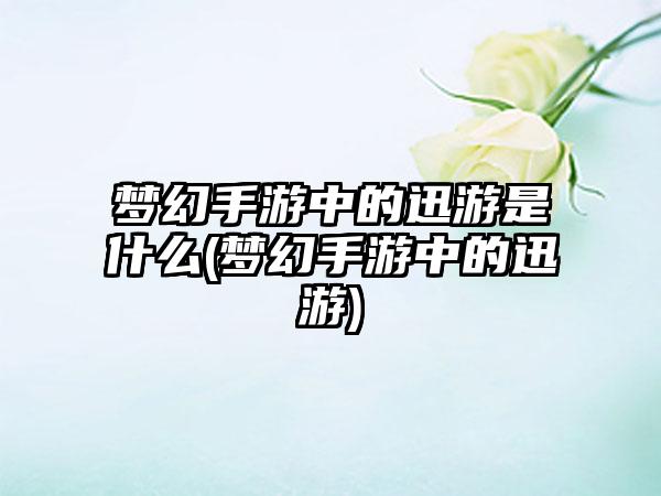 梦幻手游中的迅游是什么(梦幻手游中的迅游)
