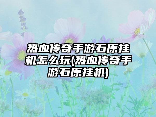 热血传奇手游石原挂机怎么玩(热血传奇手游石原挂机)