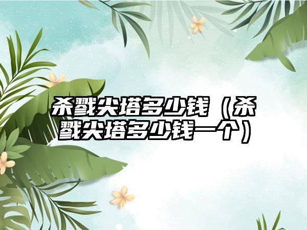 杀戮尖塔多少钱（杀戮尖塔多少钱一个）