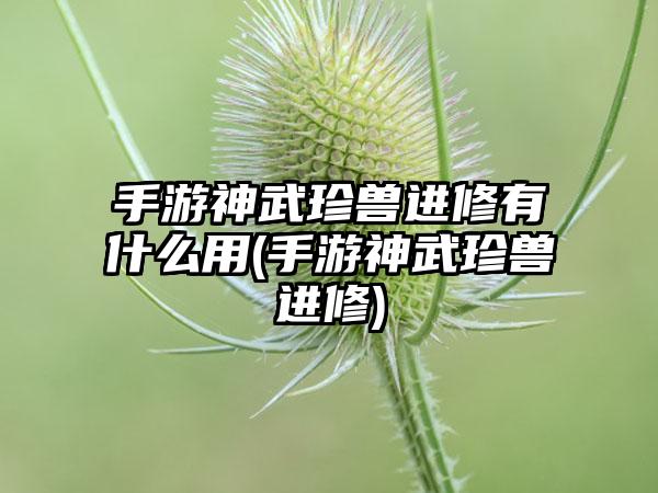 手游神武珍兽进修有什么用(手游神武珍兽进修)