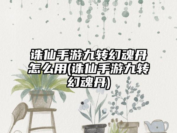 诛仙手游九转幻魂丹怎么用(诛仙手游九转幻魂丹)