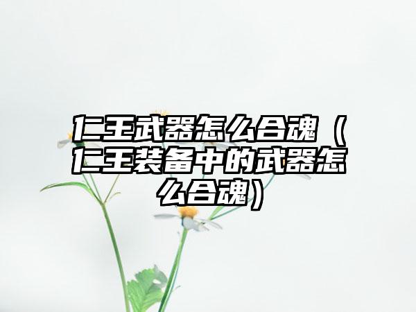 仁王武器怎么合魂（仁王装备中的武器怎么合魂）