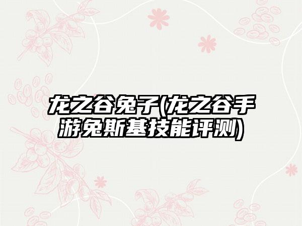龙之谷兔子(龙之谷手游兔斯基技能评测)