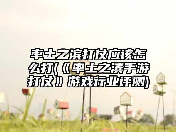 率土之滨打仗应该怎么打(《率土之滨手游打仗》游戏行业评测)