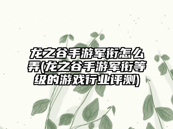 龙之谷手游军衔怎么弄(龙之谷手游军衔等级的游戏行业评测)