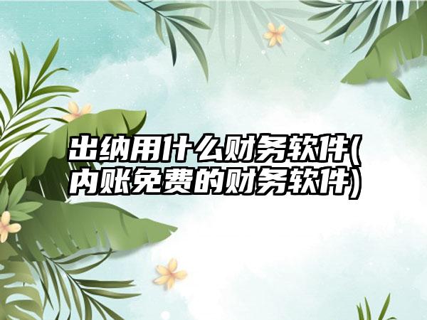 出纳用什么财务软件(内账免费的财务软件)