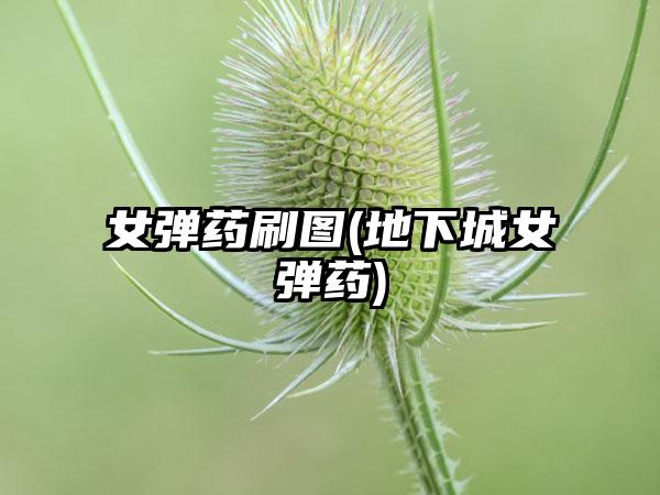 女弹药刷图(地下城女弹药)