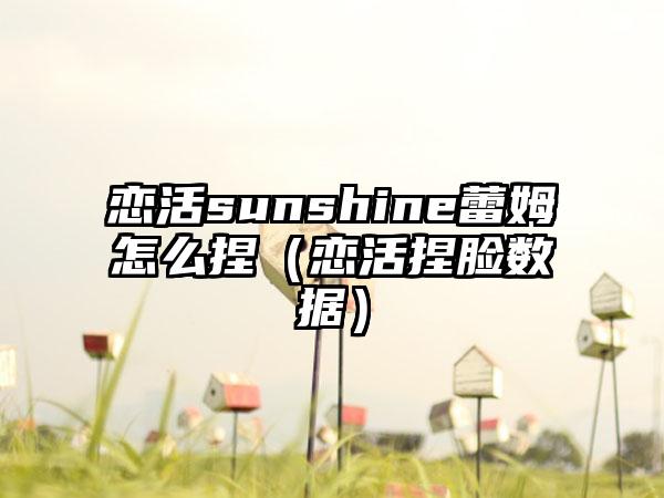 恋活sunshine蕾姆怎么捏（恋活捏脸数据）
