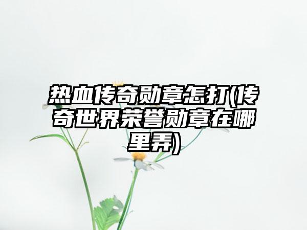 热血传奇勋章怎打(传奇世界荣誉勋章在哪里弄)