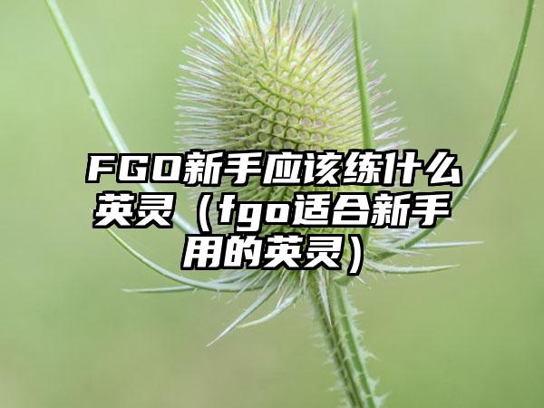FGO新手应该练什么英灵（fgo适合新手用的英灵）