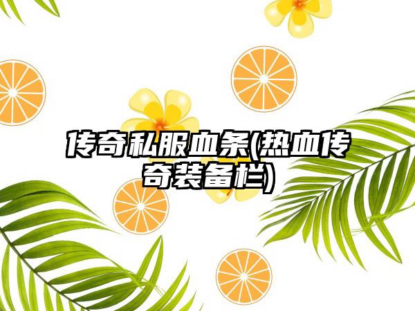 传奇私服血条(热血传奇装备栏)