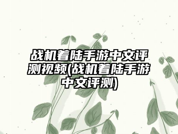 战机着陆手游中文评测视频(战机着陆手游中文评测)