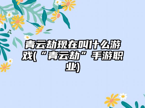 青云劫现在叫什么游戏(“青云劫”手游职业)