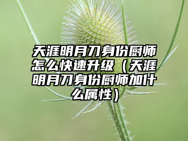 天涯明月刀身份厨师怎么快速升级（天涯明月刀身份厨师加什么属性）