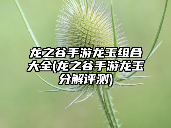 龙之谷手游龙玉组合大全(龙之谷手游龙玉分解评测)