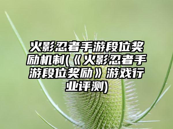 火影忍者手游段位奖励机制(《火影忍者手游段位奖励》游戏行业评测)
