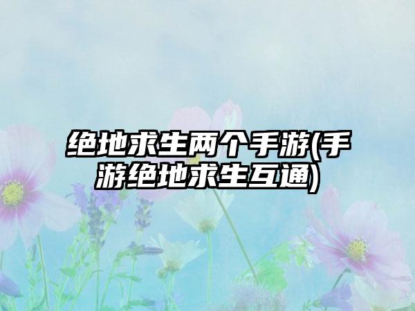 绝地求生两个手游(手游绝地求生互通)