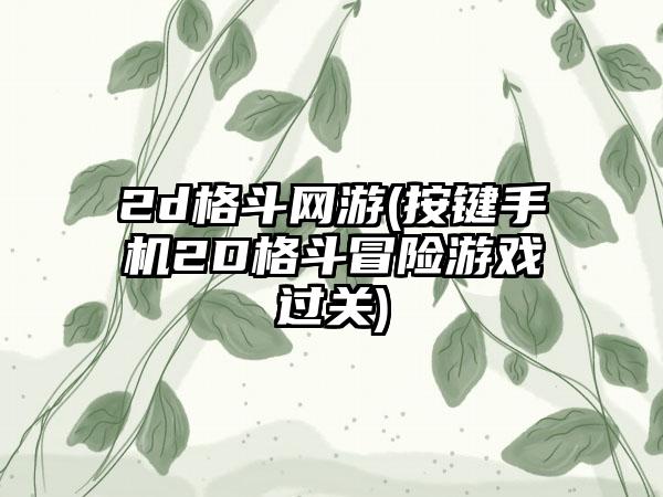 2d格斗网游(按键手机2D格斗冒险游戏过关)