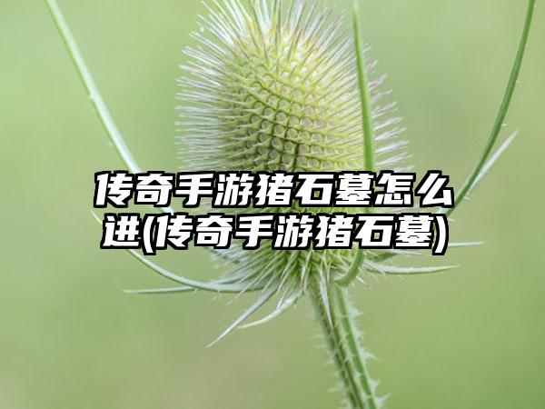 传奇手游猪石墓怎么进(传奇手游猪石墓)