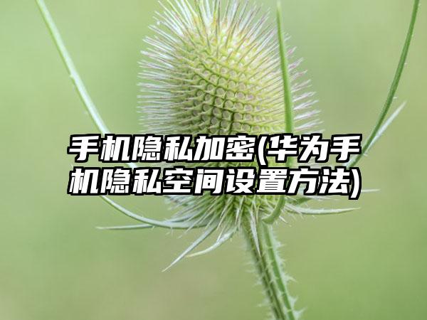 手机隐私加密(华为手机隐私空间设置方法)