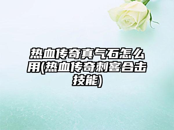 热血传奇真气石怎么用(热血传奇刺客合击技能)