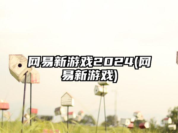 网易新游戏2024(网易新游戏)