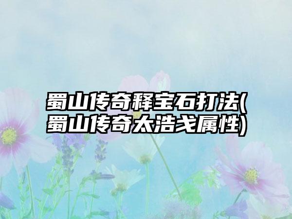 蜀山传奇释宝石打法(蜀山传奇太浩戈属性)