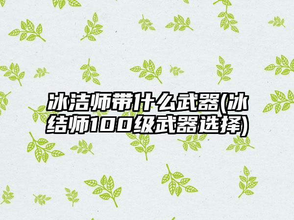 冰洁师带什么武器(冰结师100级武器选择)