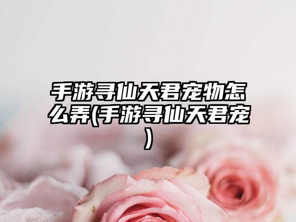 手游寻仙天君宠物怎么弄(手游寻仙天君宠)