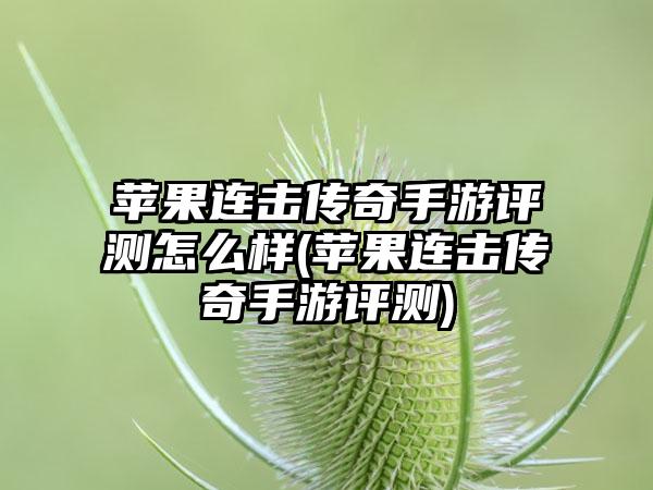 苹果连击传奇手游评测怎么样(苹果连击传奇手游评测)