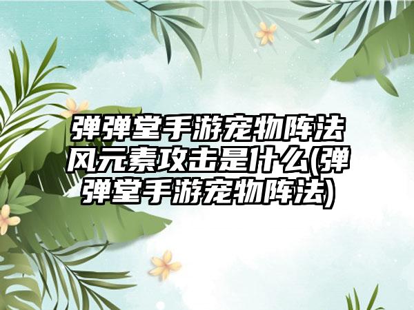 弹弹堂手游宠物阵法风元素攻击是什么(弹弹堂手游宠物阵法)
