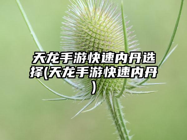天龙手游快速内丹选择(天龙手游快速内丹)