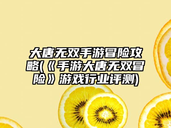 大唐无双手游冒险攻略(《手游大唐无双冒险》游戏行业评测)