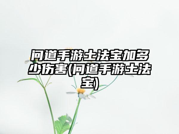 问道手游土法宝加多少伤害(问道手游土法宝)