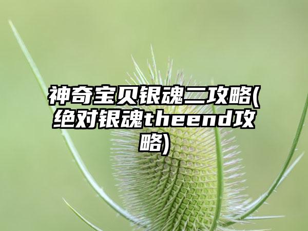 神奇宝贝银魂二攻略(绝对银魂theend攻略)